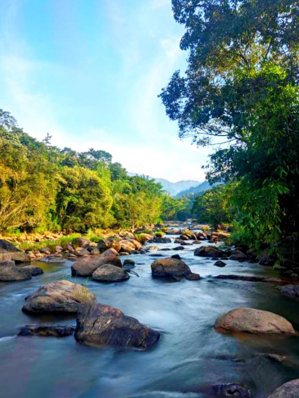 Mistey Valley Munnar Villa Anachal Exterior foto