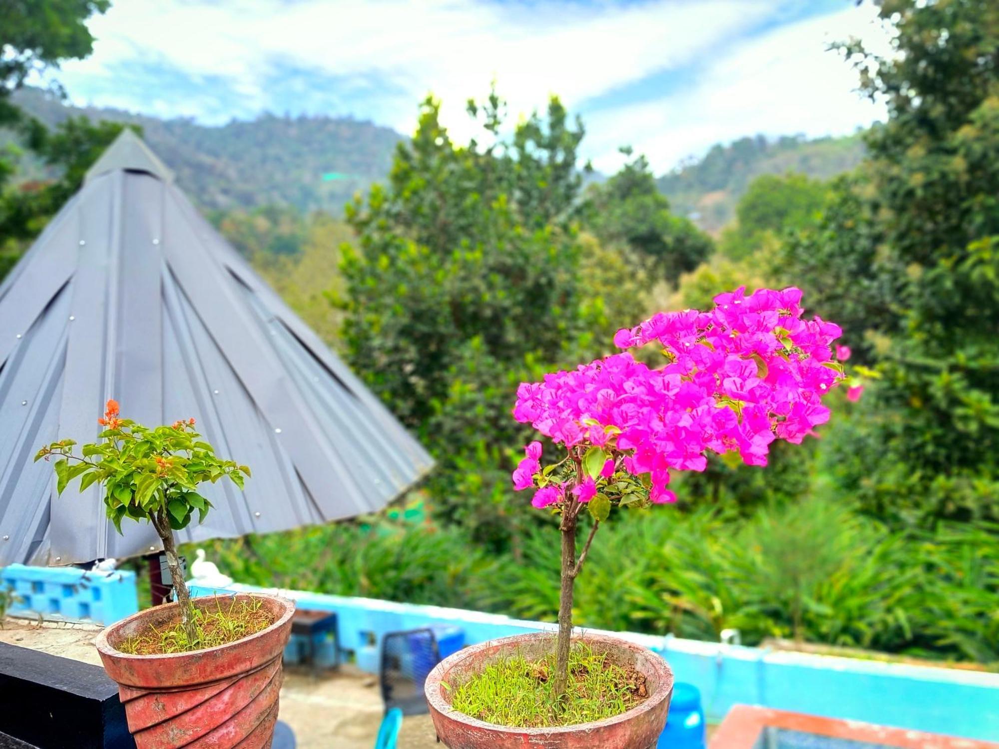 Mistey Valley Munnar Villa Anachal Exterior foto